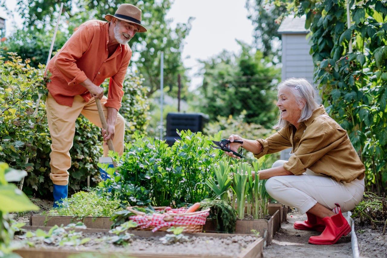 Seniors enjoying gardening